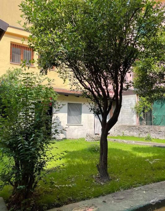Il Giardino Nascosto Apartment Omegna Exterior photo